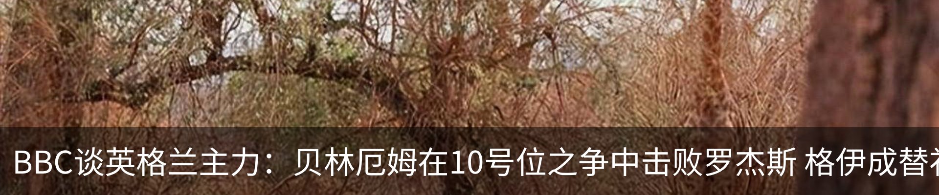 资讯中心